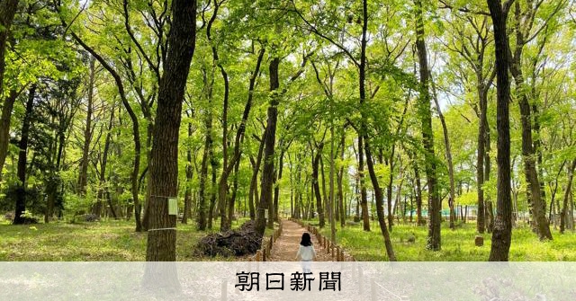 世界農業遺産の落ち葉堆肥農法、平地林増やし継承へ 三芳町がGCFで寄付募集