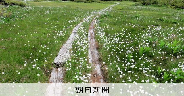 尾瀬だより 天上湿原・田代山 土砂の崩落地も [群馬県]：朝日新聞