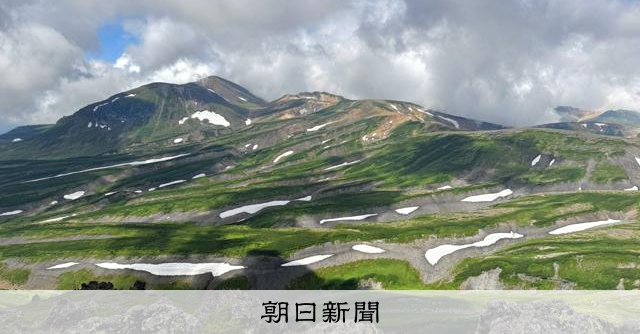 大雪山地區棕熊資訊整合網站上線 提醒登山客行前確認