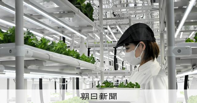 野菜収穫から販売「1週間→30分」短縮 世界見据える福岡発の企業 [福岡