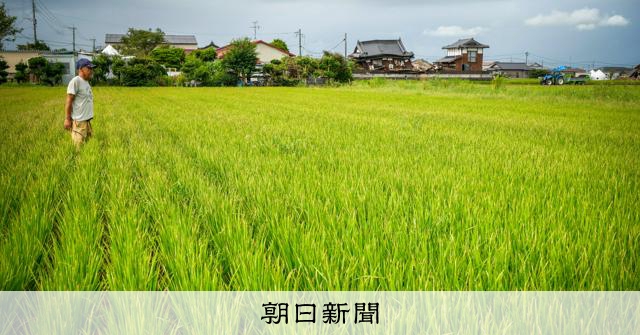朝日新聞の記事「「今年の米は全滅」熊本地震が奪った実り イグサ栽培にも影響か」の見出し画像