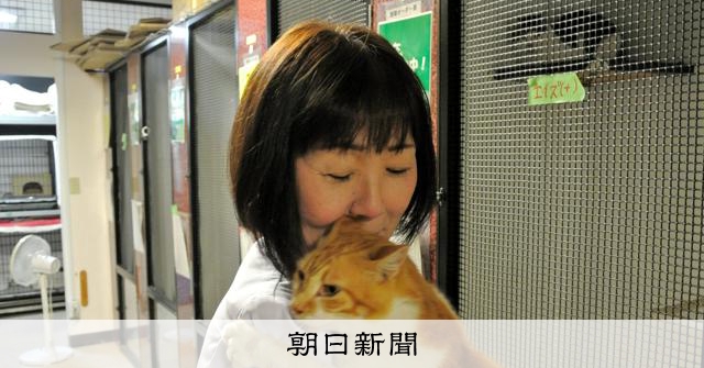 犬貓撲殺數量十年內減少九成，但「零撲殺」目標仍遙遠，各縣市面臨不同困境
