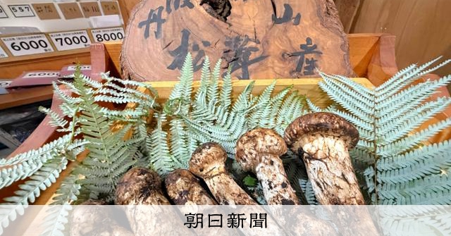 兵庫・丹波篠山でマツタケの初競り 6本110万円で料理旅館が落札 [兵庫