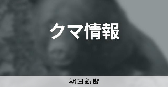 京都綾部市對闖入空屋的熊隻實施緊急開槍獵捕