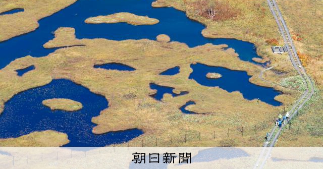 尾瀨原草紅葉染金黃，木道漫步欣賞秋日絕景