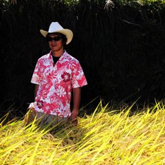 近藤康太郎 - 記者：朝日新聞