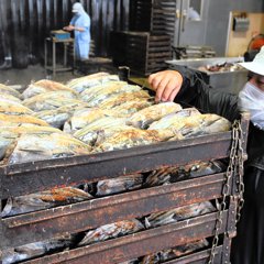 山田暢史 - 記者：朝日新聞